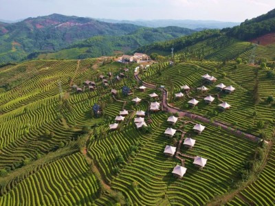 北京普洱县旅游景区 做一杯干净茶让“绿色”成为“新引擎”