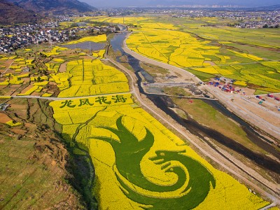 北京常熟旅游|凤凰山古称河阳山，千亩油菜花花海