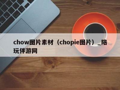 chow图片素材（chopie图片）_陪玩伴游网